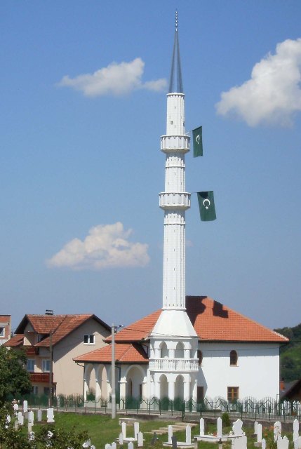 Donja džamija u Tarevcima